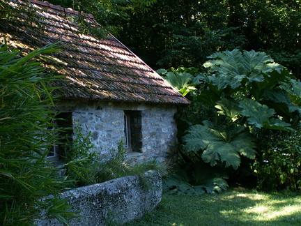 20060807 183744